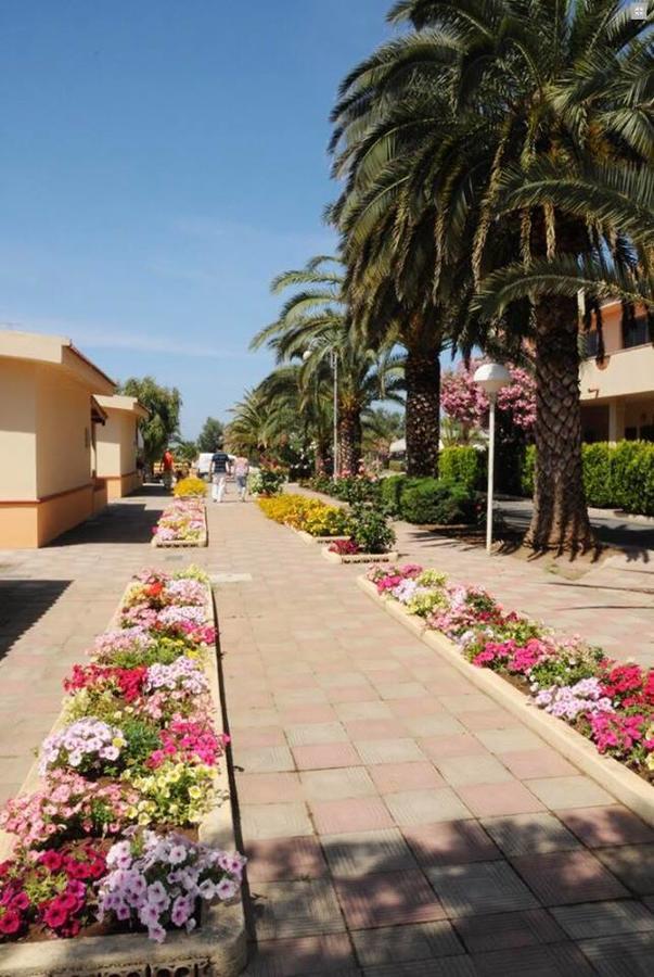 Hotel Summer Day Village Santa Maria Del Cedro Ngoại thất bức ảnh